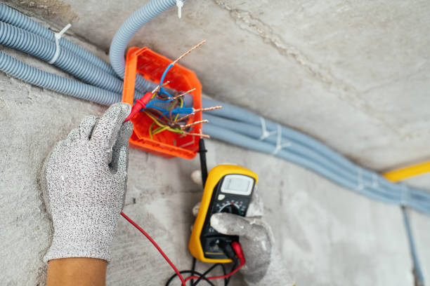 Best Electrical Upgrades for Homes  in Mead, CO